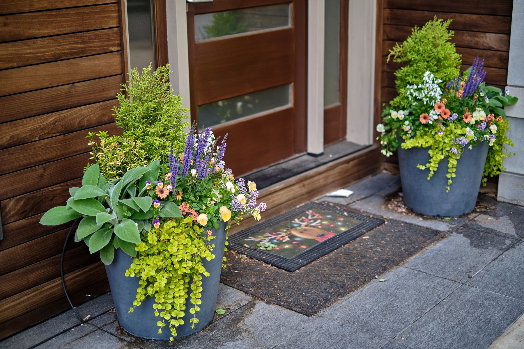 Enliven Planters spring container arrangement